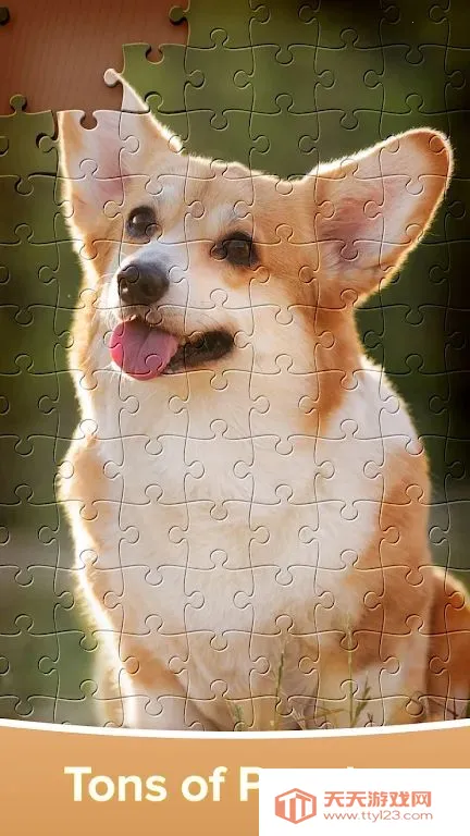 拼图游戏大闯关(成人拼图游戏)v4.4.16 官方正版截图1