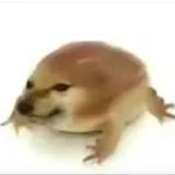 �ҵĵ���(�������Ӧ��) v1.0 �ٷ�����