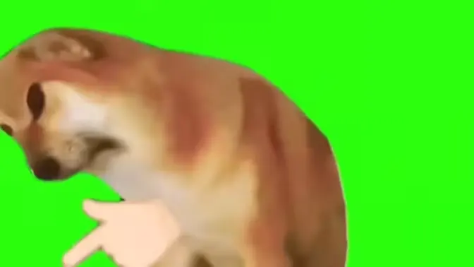 八嘎呀路2026官方最新版本v1.0 安卓版截图1