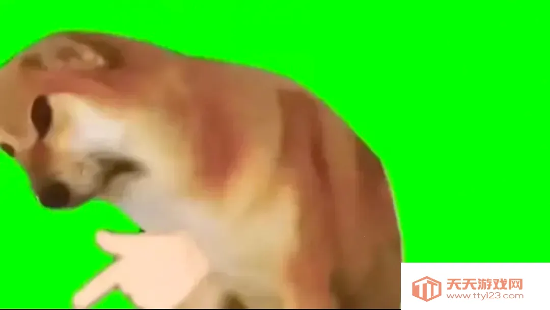 八嘎呀路2026官方最新版本v1.0 安卓版截图2