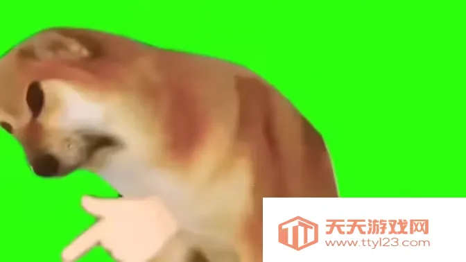 八嘎呀路2026官方最新版本v1.0 安卓版截图0