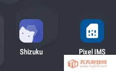 Pixel IMS(��������ͨ��)