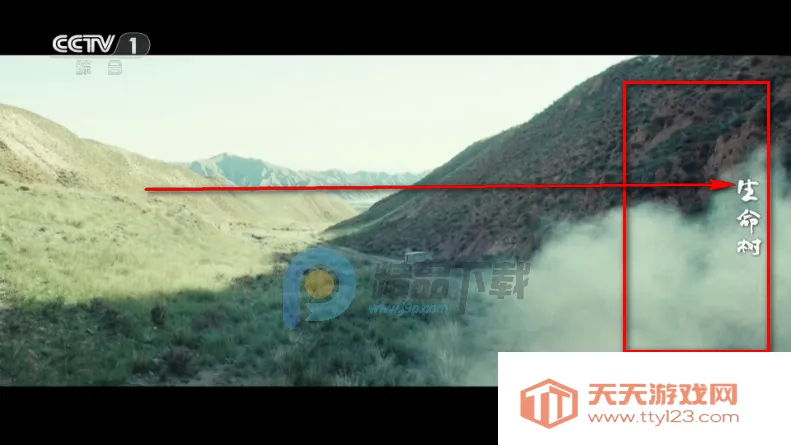 �������TVֱ�����°汾