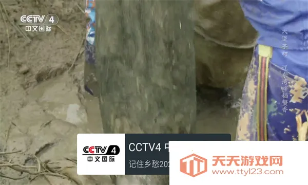 �ҵĵ���tv���ͼ4