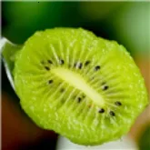 ��⨺���TV(Ӱ�ӹۿ�����)v9.9.9 ��Ѱ�