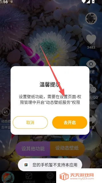 锦鲤金鱼壁纸2026官方正版 锦鲤金鱼壁纸2026官方正版