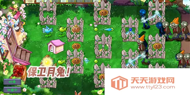 PVZGSֲ���ս��ʬ������2026�ٷ�����