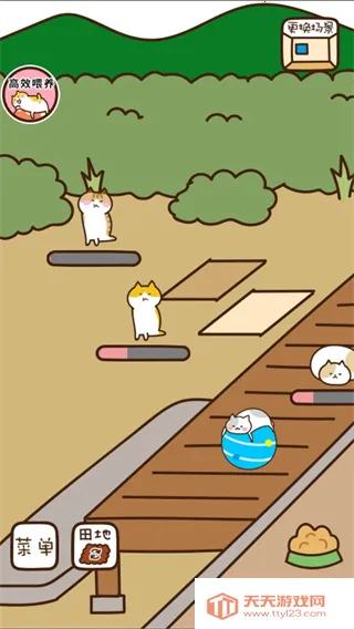 è����԰(è��������Ϸ)