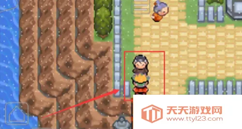 �ڴ��������뱦������