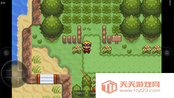 �ڴ��������뱦������