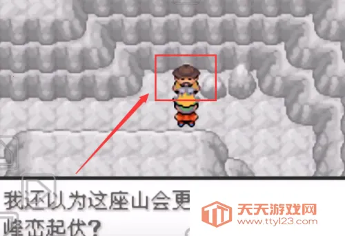 �ڴ��������뱦������