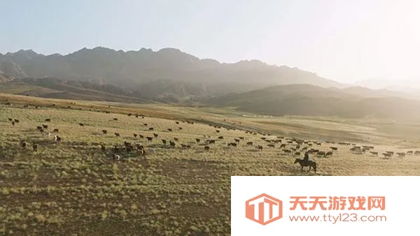 ȫ�ۺ�TVʹ�ý̳�7