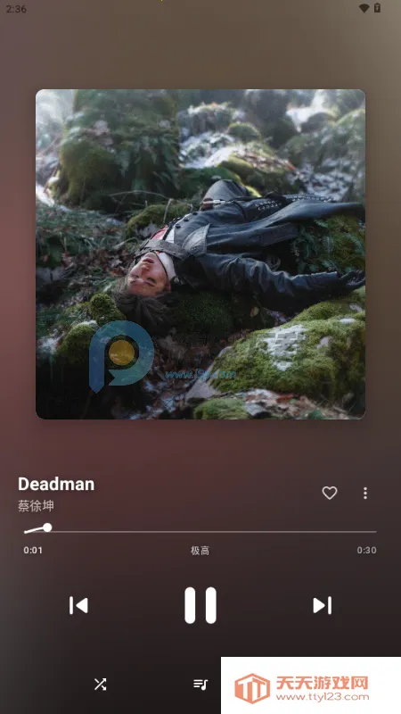 梅花音乐2026官方最新版本 梅花音乐2026官方最新版本