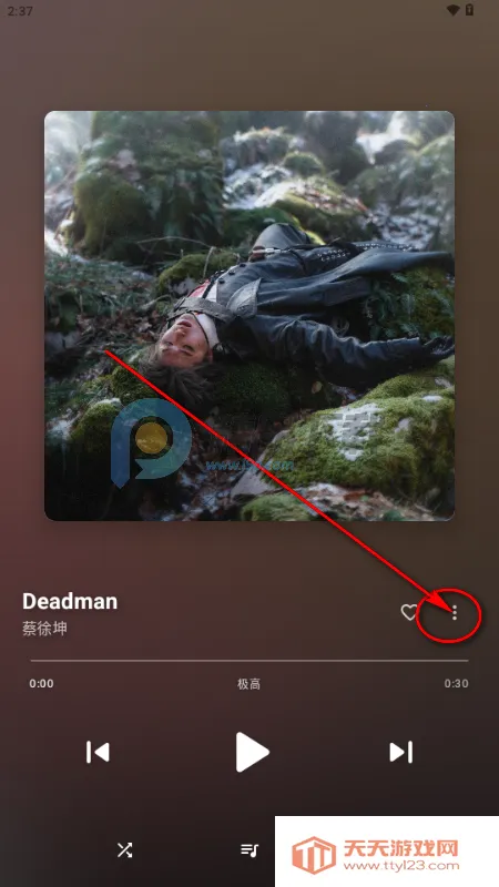 梅花音乐 梅花音乐