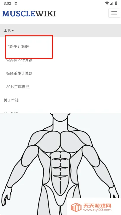 Muscle Wiki