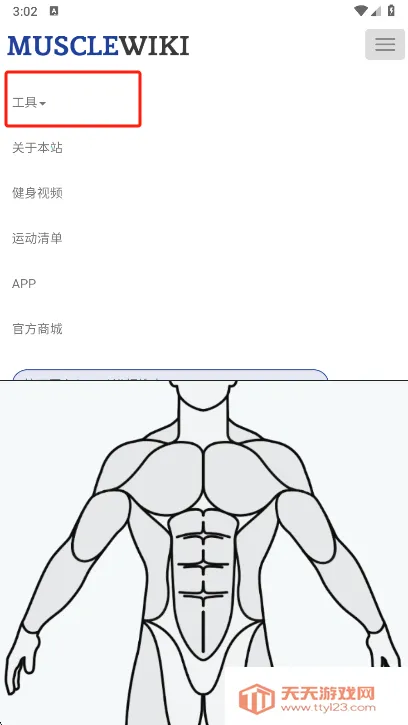 Muscle Wiki2026�ٷ�����