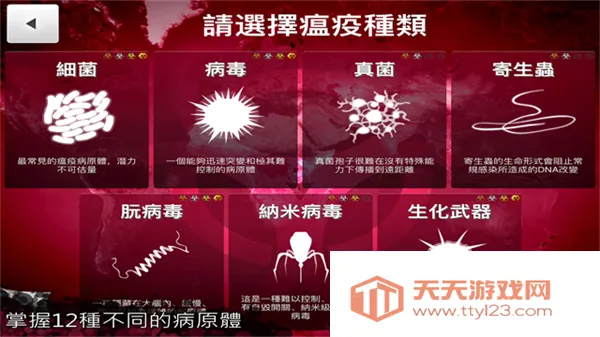 ���߹�˾(��������������)