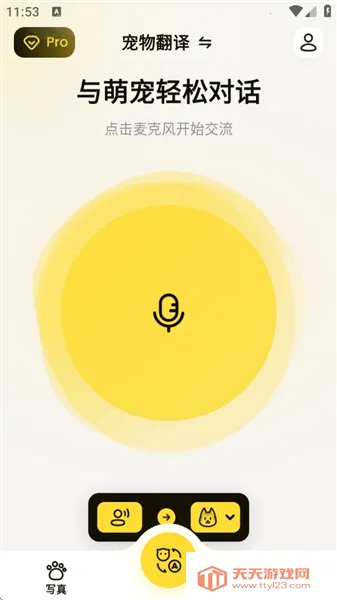 宠玩(宠物互动工具) 宠玩(宠物互动工具)