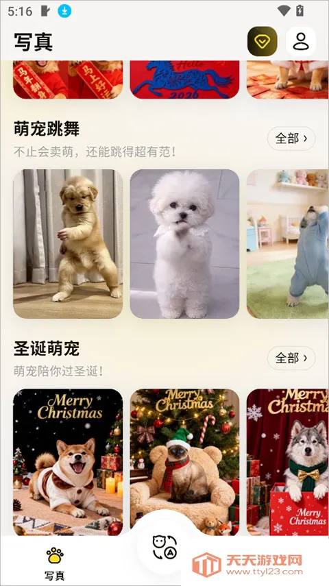 宠玩(宠物互动工具) 宠玩(宠物互动工具)