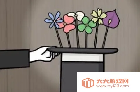 ��������2026�ٷ�����