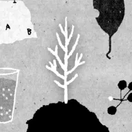 �����������ֻ���v1.51 �ֻ���