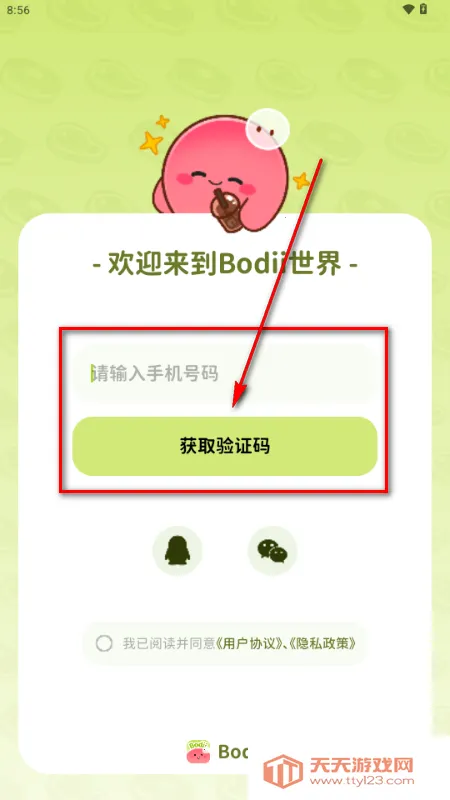 Bodii��������