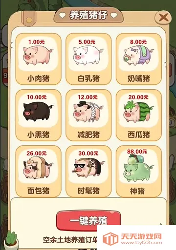 �����ร׬ǮС��Ϸ