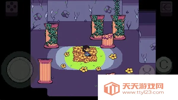 ��˵֮��bnpģ�鰲׿���ֻ���v5.0.0 �ٷ������ͼ1