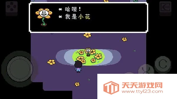 ��˵֮��bnpģ�鰲׿���ֻ���v5.0.0 �ٷ������ͼ0