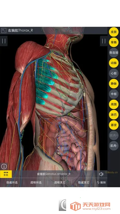 3Dbody����2026���°汾v1.25 ��׿���ͼ3