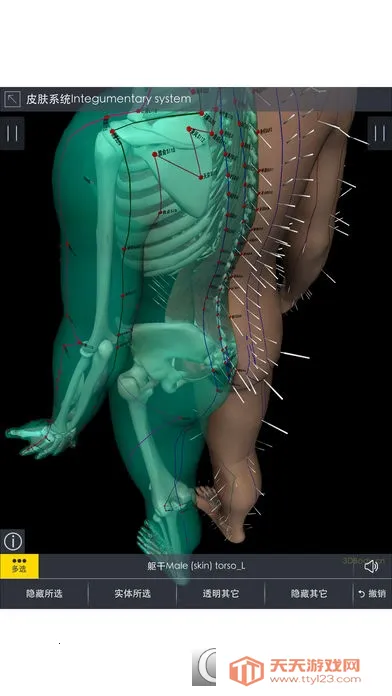 3Dbody����2026���°汾v1.25 ��׿���ͼ4