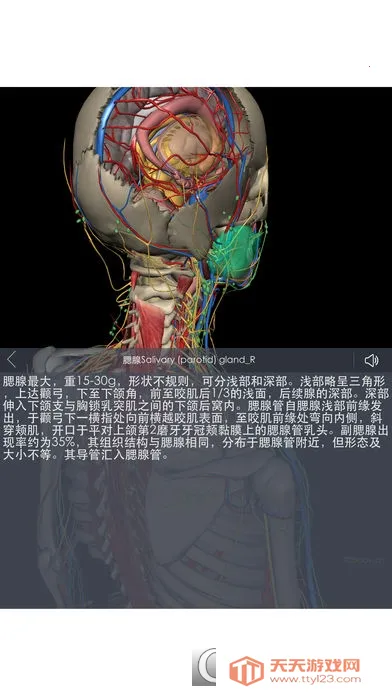 3Dbody����2026���°汾v1.25 ��׿���ͼ2