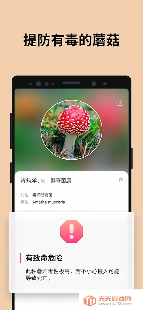 Picture Mushroom2026�ٷ������ͼ0