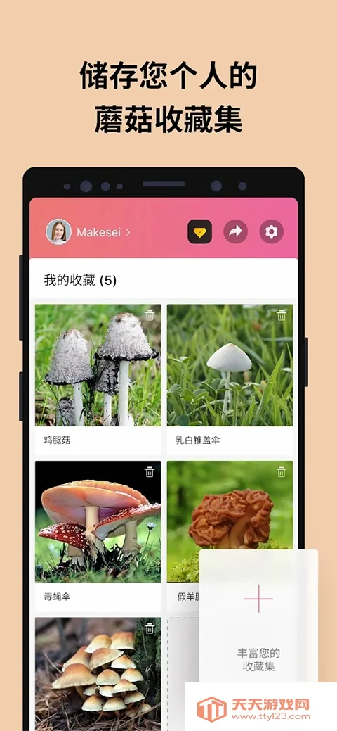 Picture Mushroom2026�ٷ������ͼ2