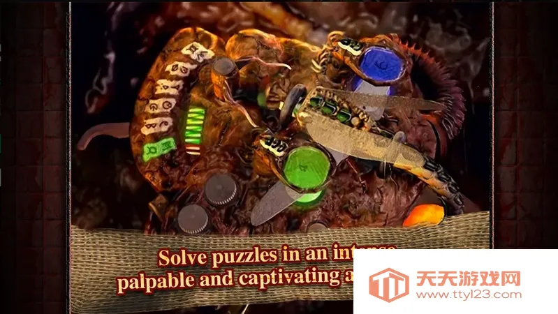 ����ԺSteam��ֲ2026���ذ�װ��ͼ2