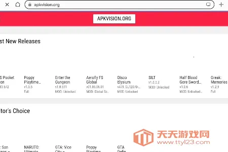 APKVision Store2026官方正版 APKVision Store2026官方正版