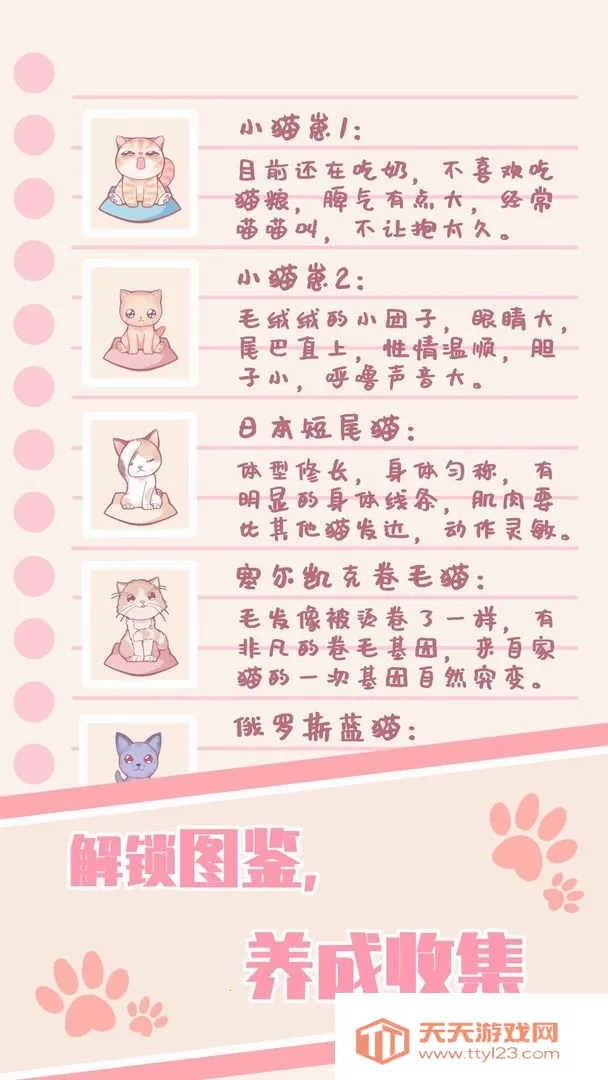 云撸猫咪(猫咪养成游戏)截图4