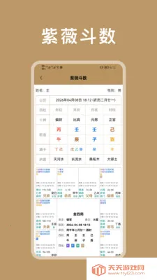 紫微斗数八字排盘(命理排盘工具)截图0