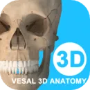 ά����3D����(����ѧϰ����)v5.8.0 �ֻ���