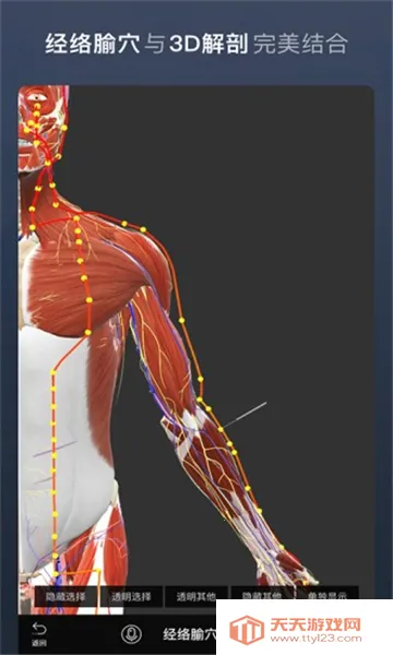 ά����3D����(����ѧϰ����)��ͼ0