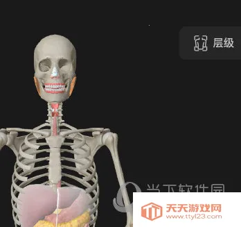 ά����3D����(����ѧϰ����)