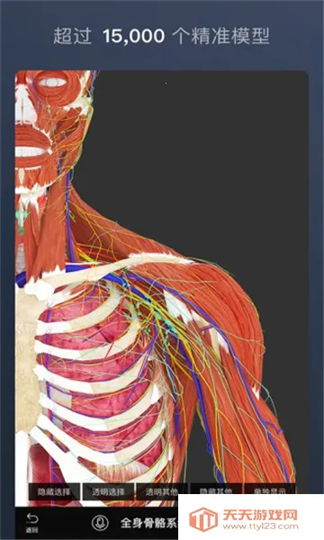 ά����3D����(����ѧϰ����)��ͼ1