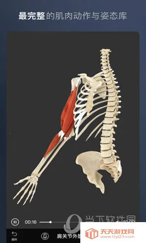 ά����3D����(����ѧϰ����)