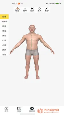 ʦ֥��2026���°汾��ͼ4