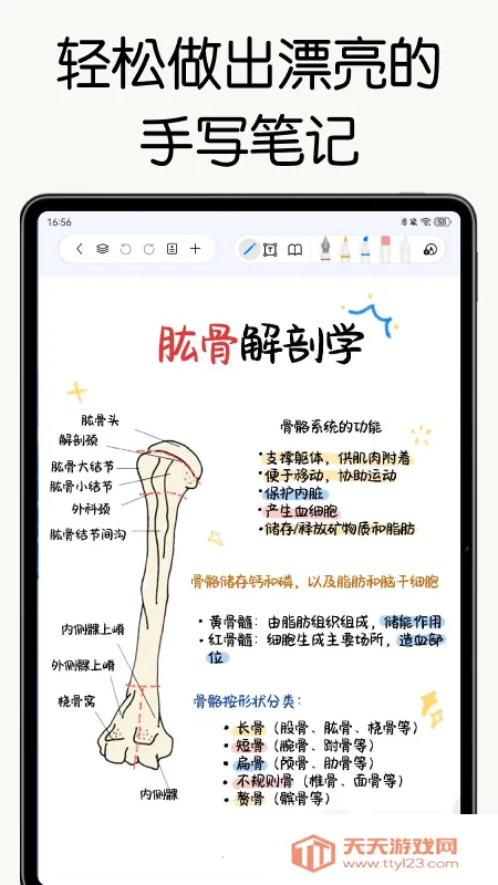 ���ɱʼ�(�ʼ�Ӧ��)��ͼ4