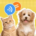 è�����ｻ������(������������Ӧ��)v1.0.2 ��׿��