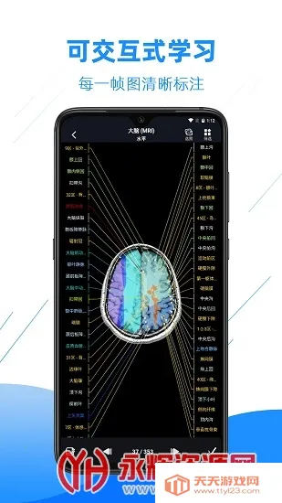 影像解剖图谱2026官方最新版本截图2