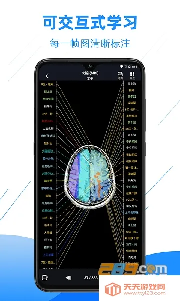 影像解剖图谱2026官方最新版本 影像解剖图谱2026官方最新版本