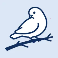 BB�ռ������Bվ(bbspace2026���ذ�װ v1.4.9 ��׿��