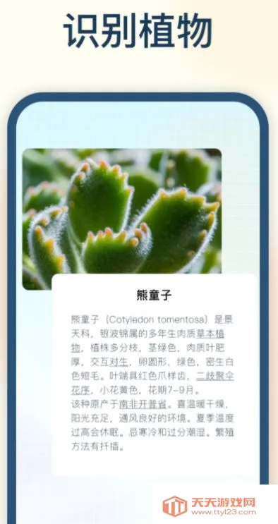 �Ծ���2026���°汾v2.0.0.0 �ٷ������ͼ3